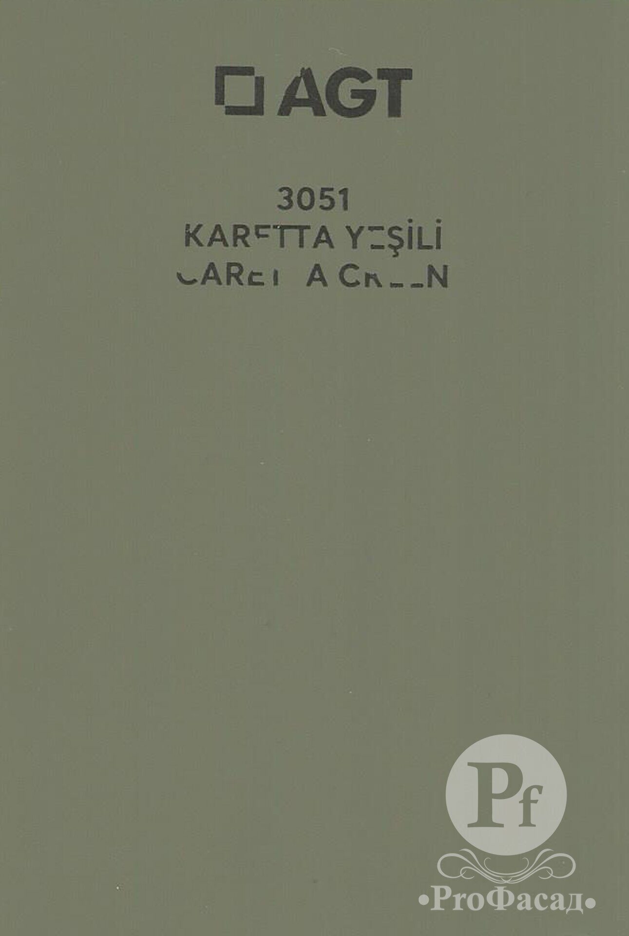 3051 CARRETA GREEN